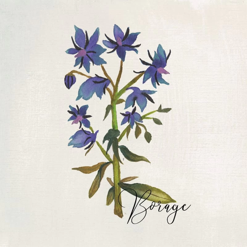 4-Piece Floral Canvas Wall Art Set, 10" 2 4-Piece Floral Canvas Wall Art Set, 10" - Image 2