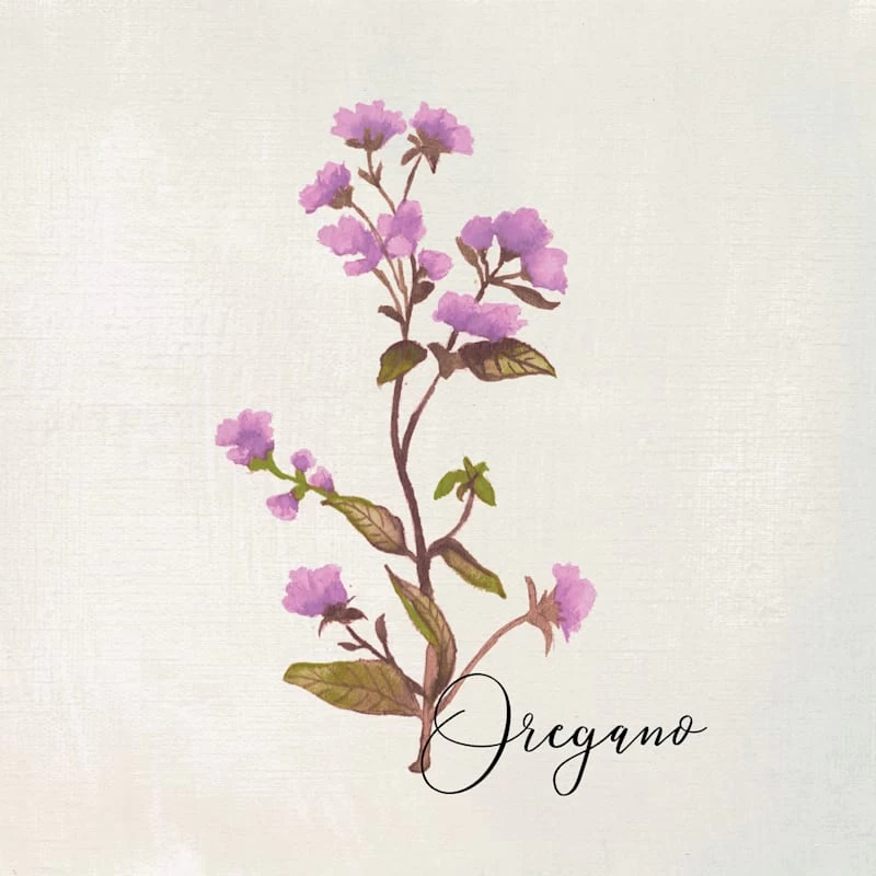 4-Piece Floral Canvas Wall Art Set, 10" 5 4-Piece Floral Canvas Wall Art Set, 10" - Image 5