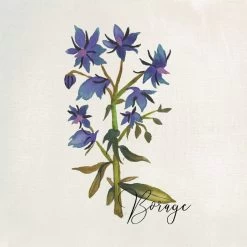 4-Piece Floral Canvas Wall Art Set, 10" 14 4-Piece Floral Canvas Wall Art Set, 10" -Home Decor Store 4 piece floral canvas wall art set 10 5