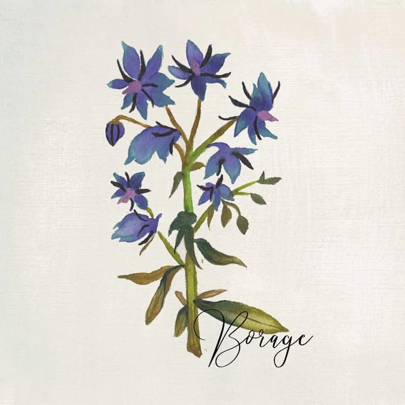 4-Piece Floral Canvas Wall Art Set, 10" 6 4-Piece Floral Canvas Wall Art Set, 10" - Image 6