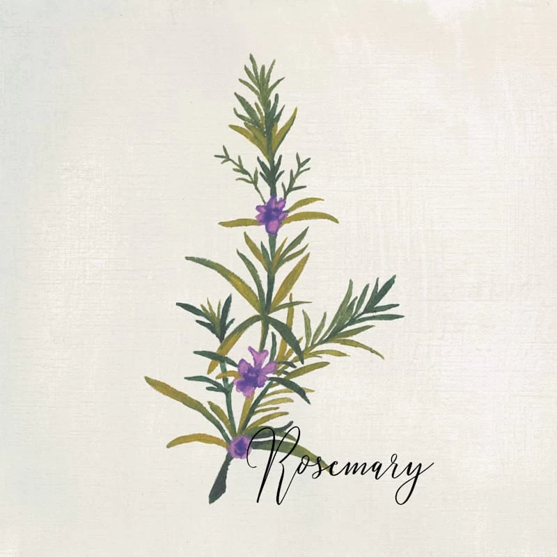 4-Piece Floral Canvas Wall Art Set, 10" 7 4-Piece Floral Canvas Wall Art Set, 10" - Image 7