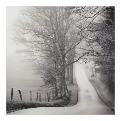 Cascade Cove Canvas Wall Art, 48"