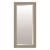 Champagne & Silver Wood Floor Mirror, 32x68