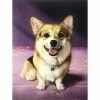 Corgi Canvas Wall Art, 12x16
