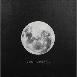 Just A Phase Canvas Wall Art, 16"