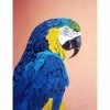 Parrot Canvas Wall Art, 12x16