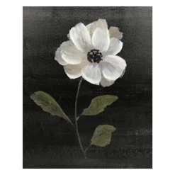 Providence Black Floral Canvas Wall Art, 16x20