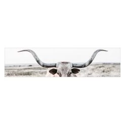 Texas Longhorn Canvas Wall Art, 36x9