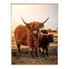 Ty Pennington Framed Calf Highland Cow Canvas Wall Art, 24x30