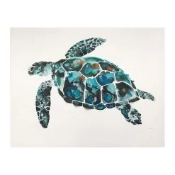 Ty Pennington Turtle Canvas Wall Art, 20x16